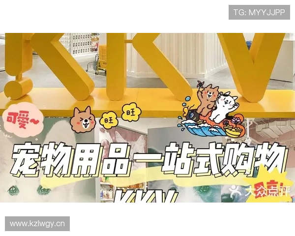 新爱旗舰网站：汇聚全球优质品牌，打造一站式购物的理想选择